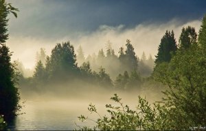 Pemberton - Foggy River.jpg