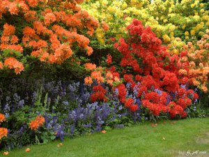 VanDusen Gardens 112, Vancouver - British Columbia, Canada.jpg