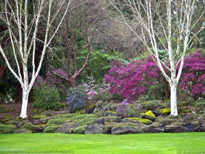 VanDusen Gardens 113, Vancouver - British Columbia, Canada.jpg