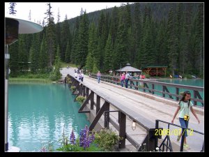 emerald lake 3.jpg