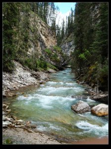 johnston canyon 3.jpg