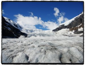 columbia icefield.jpg