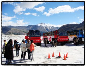 columbia icefield 2.jpg