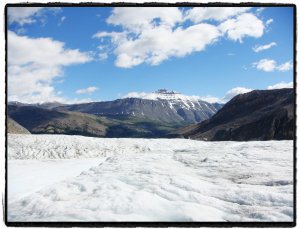 columbia icefield 3.jpg