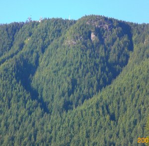 grouse mountain.jpg