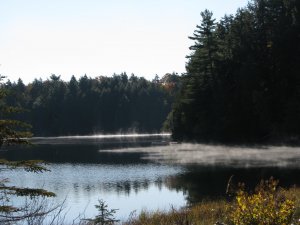 早晨如仙境般的湖面--Algonquin Park.jpg