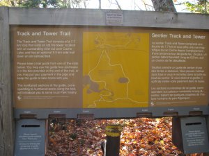 Track and Tower Trail-Algonquin Park.jpg