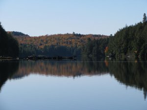 Cache Lake--Algonquin Park.jpg