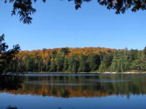 Cache Lake2--Algonquin Park.jpg