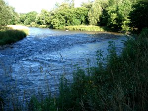 Credit River (Looking North from Culham Trail).jpg