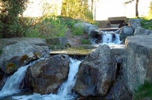 Stream at JC Saddington Park.jpg