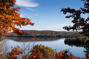 315_1553 Algonquin hardwood lookout.jpg