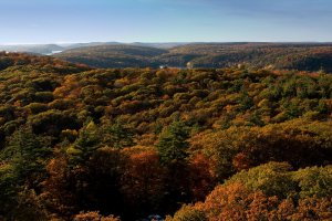 316_1635 Dorset lookout.jpg