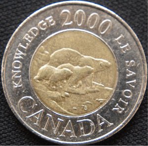 Toonie-03.jpg