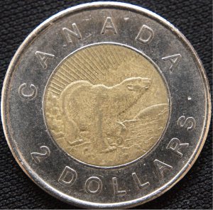 Toonie-04.jpg