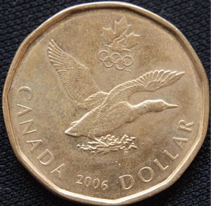 Loonie-05.jpg