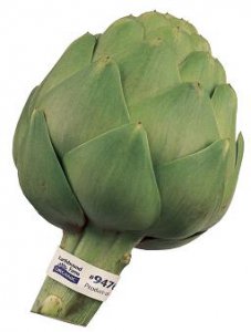 EBF_Artichoke.jpg