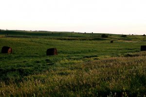 saskatchewan04.JPG