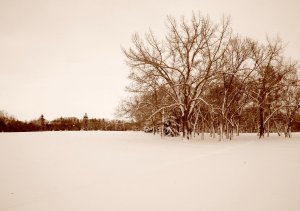 雪景压缩1.JPG