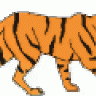 XMTiger