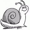 snail73